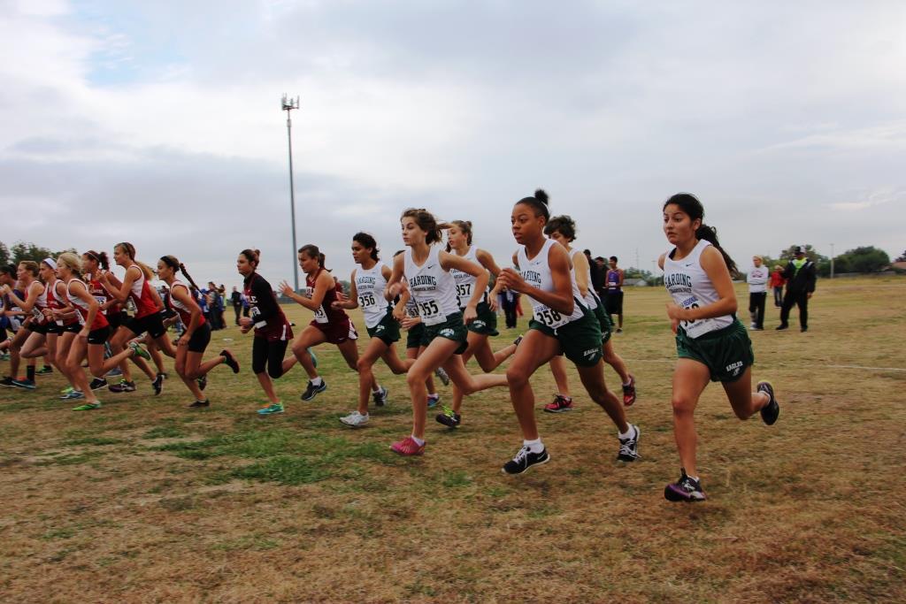 Cross country makes huge strides at 4A Regional meet