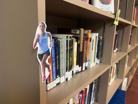 Sophomore Rachel Carrs picture will travel along the fiction section in the library as she completes her reading journey.