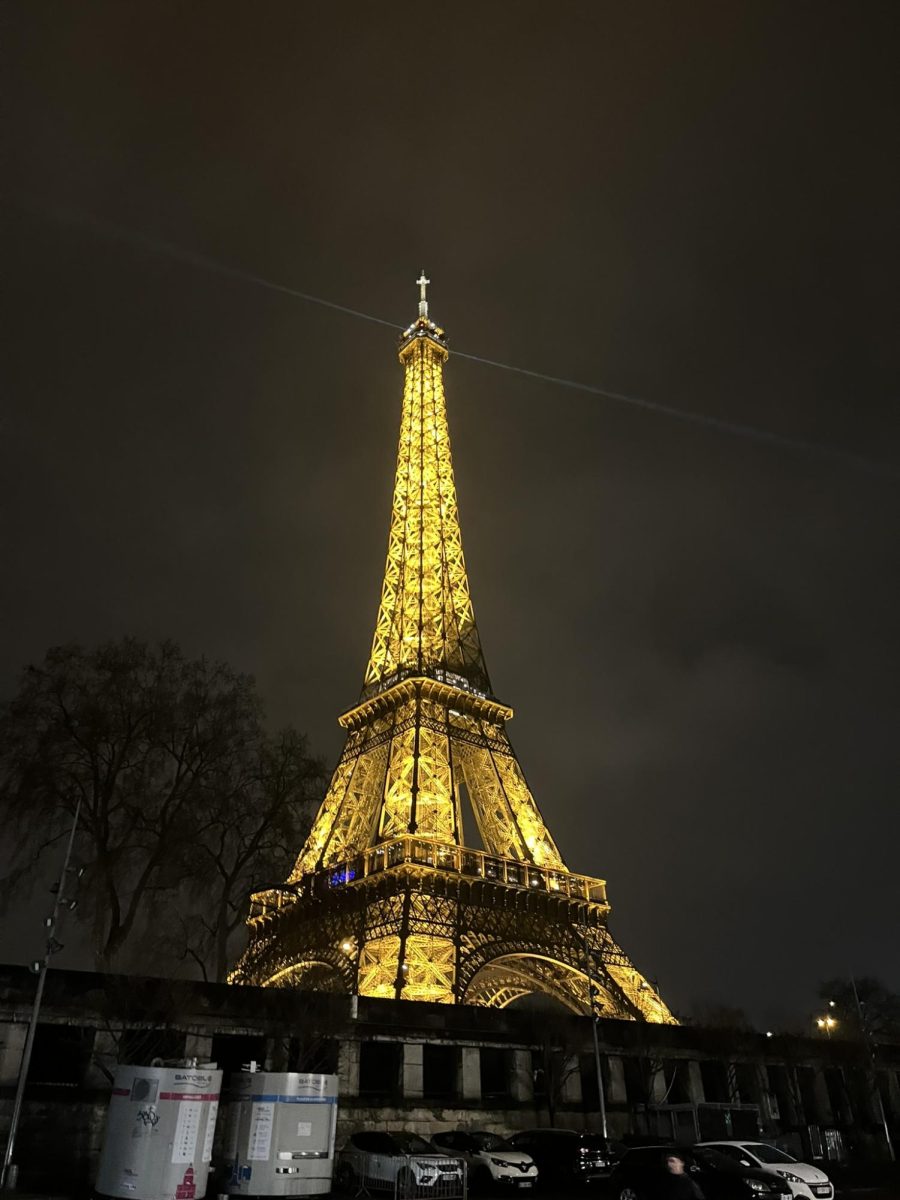 Every hour the Eiffel Tower sparkles for five miniutes.
